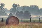 Hay bale in rural farm field, Oldham County, Kentucky Art Print